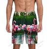 Men's Board Shorts Men's Short Flamingo Bird Cartoon Animals 3d Hawaiian Beach Short Swim Trunk Swimsuit Sports Pant Boy Briefs