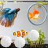 Anello per Esercizio Pesce Betta Anello per Alimentazione Pesce Betta Con Ventosa e 3 Palline Filtro per Acquario Giocattoli per Esercizio Tartarughe Betta