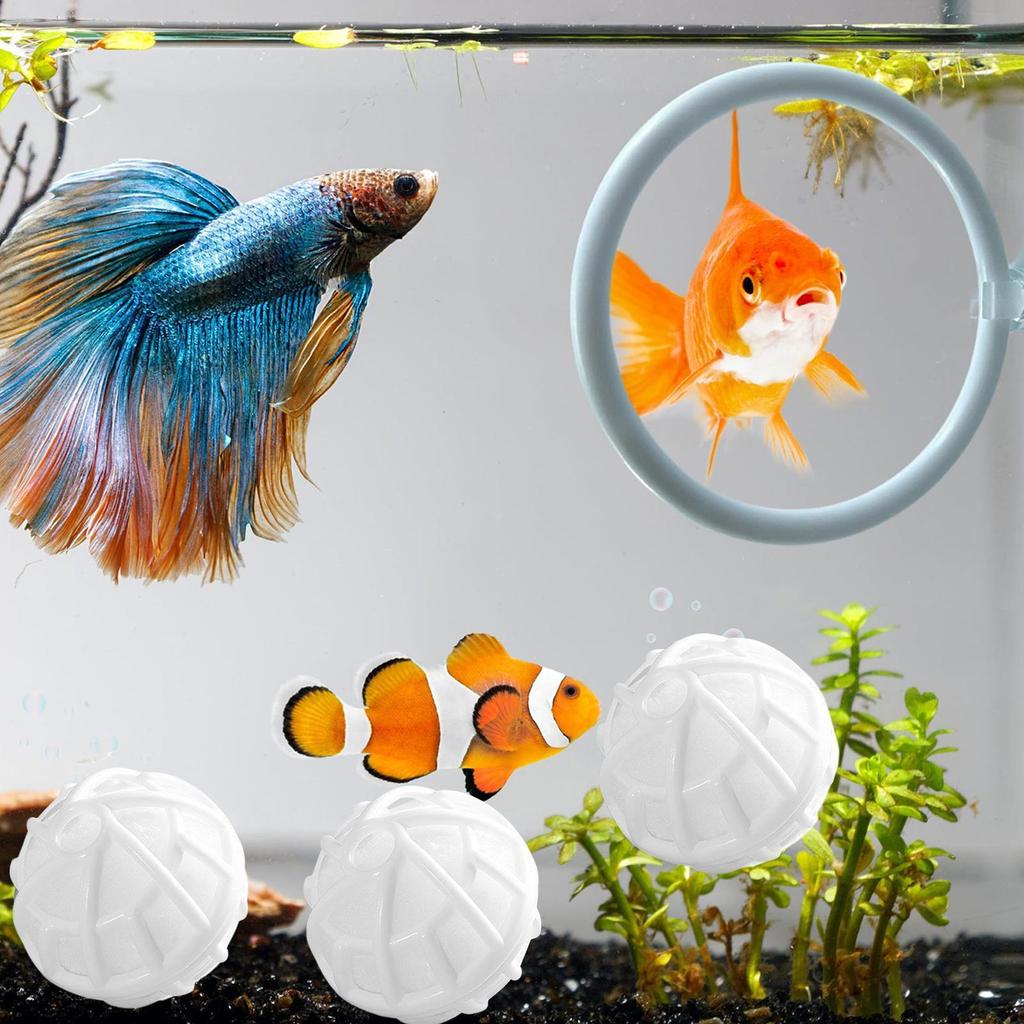 Anello per Esercizio Pesce Betta Anello per Alimentazione Pesce Betta Con Ventosa e 3 Palline Filtro per Acquario Giocattoli per Esercizio Tartarughe Betta