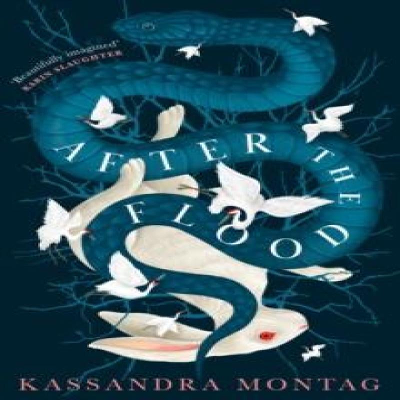 After the Flood by Kassandra Montag Paperback Book 9780008319595