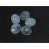 10X12MM Natural Rainbow Moonstone Checker Cut Oval Cabochon Gemstone 5PcsLot C-1769