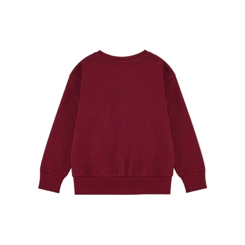 Nike Kids Sweatshirts Crew Neck Moderate FZ6425-677