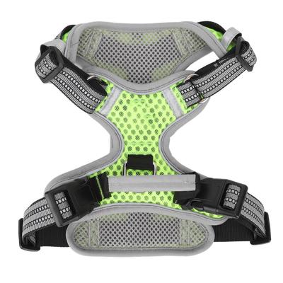 Perros – Collares y correas
