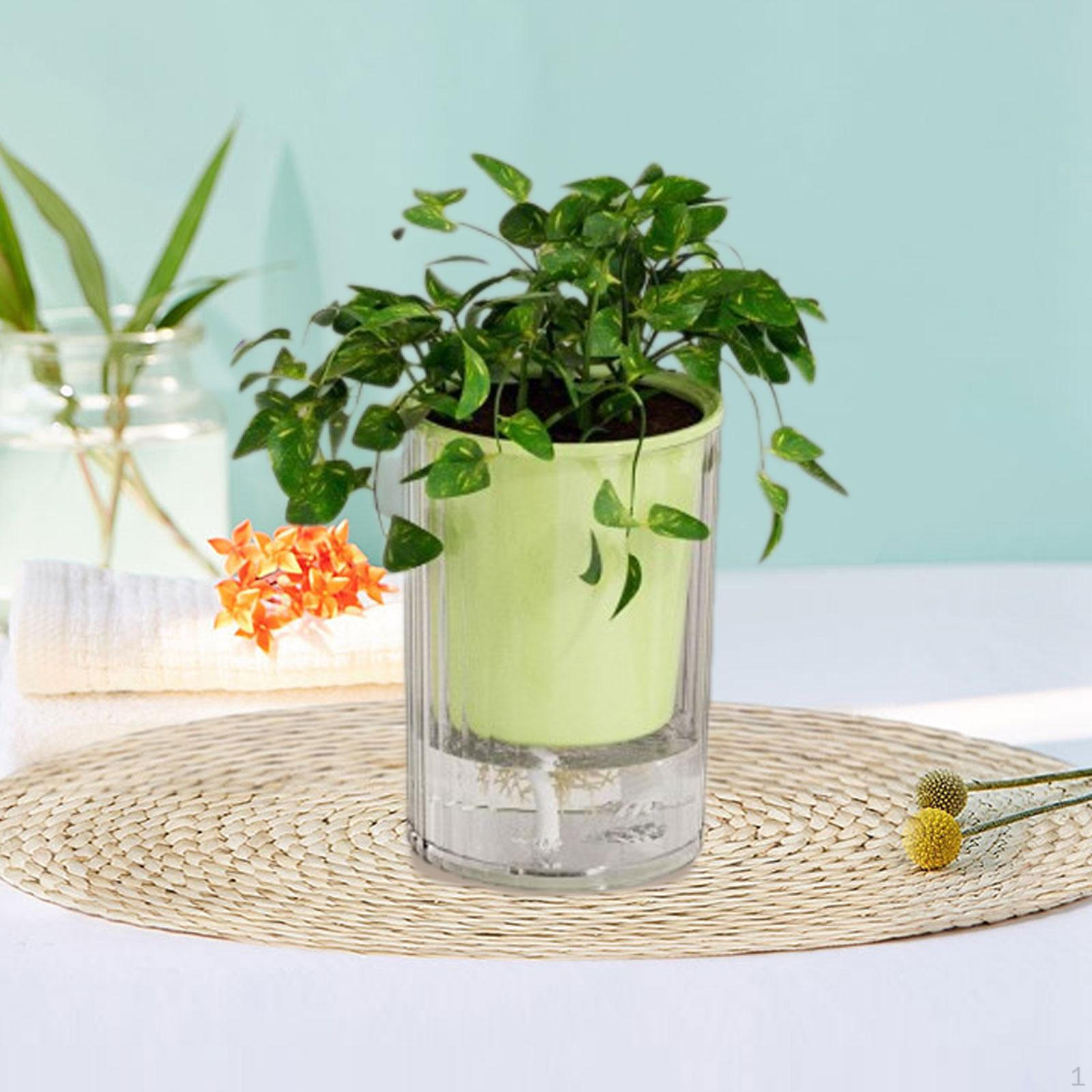 

Автоматический задний плантатор для гидропонного горшка, украшение для стола, небольшой садовый цветок для