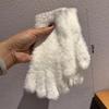 Thickened Touch Screen Gloves Warm Five Finger Gloves Korean Style Plush Gloves  Winter