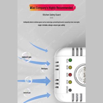 Smart Natural Gas and Combustible Gas Leak Detector