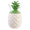 Les Trésors De Lily [Q7743] - 'Pineapple' Mason Jar Cocktail Set (4 Straws) - 27x11 Cm (1.3 L)