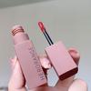 Smudge-Proof Lip Color Velvet Matte Liquid Lipstick for Daily Makeup
