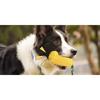 Dingdong Pet Dog Corn Thread Toothbrush 5.5 X 14.7 Cm, Yellow, 1 Piece