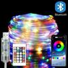 RGBIC LED Light Strip 5/10/20 Meters Bluetooth APP Music Synchronization DIY Programmable Decorative Fairy Lights