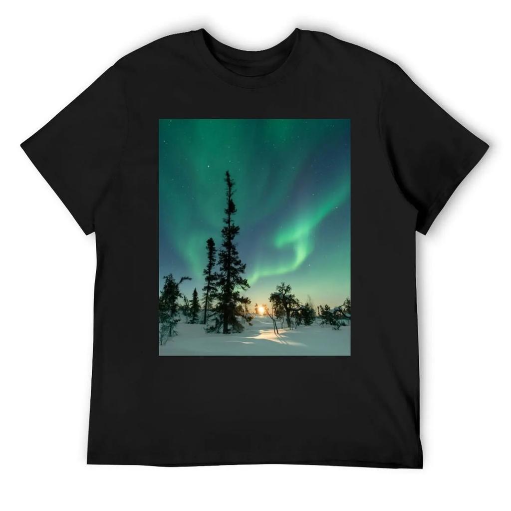 BEAUTIFUL GREEN NORTHERN LIGHTS T-Shirt boys animal print funny costumes custom t shirt shirts graphic tee mens workout shirts