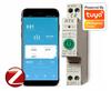 RTX TUYA 50A DIN ZigBee Licznik prądu Przekaźnik