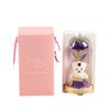 Eternal flower glass cover gold foil laser rose christmas halloween birthday gift doll bear ornament