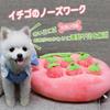 Carrot Farm Dog Carrot Harvesting Team YCYHHHW Nose Work Educational Pet Dog Exercise Stress House Destruction Prevention Toy, Mat, Toy, Supplies,