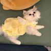 Summer Princess Style Anti-Shedding Dress for Cats and Small Dogs