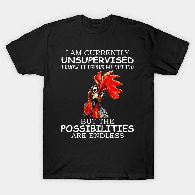 I am currently unsupervised T Shirt For Joke Birthday Funny boyfriend girlfriend 3XL