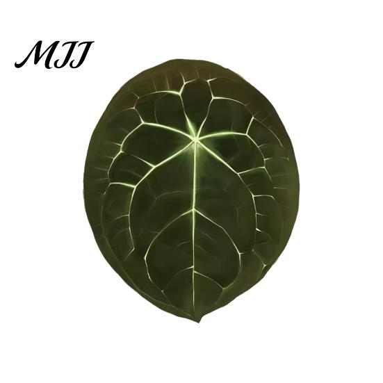 Plant Home Decor 3D Tropical Plants Refrigerator Magnet, Acrylic Green Decorative Fridge Metal Surface Magnet Memo Notes Photo Holder for Kitchen