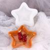 White Seastar Marine Series 15.5cm Box Mould Silicone Resin Mould  Decorative Ornament