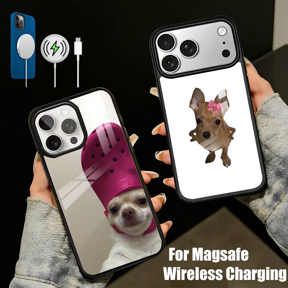 C-Chihuahua Funny Memes Phone Case For iPhone17,16,15,14,13 Plus,Pro Max Magnetic For Magsafe Wireless Charging