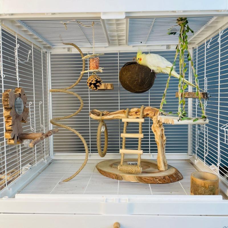 Natural Vine Parrot Swing Chew Toy Interactive Training Hanging Cage Decor For Budgies Cockatiels Small Pet Birds Supplies