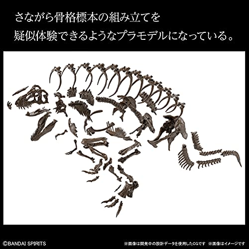 Szkielet Tyranozaura 1/32 Model Plastikowy 197694