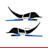 WuJi 525DSX 2024 Motorcycle Epoxy Sticker Set: Waterproof, Scratch-Resistant, 3D Fuel Tank Decals