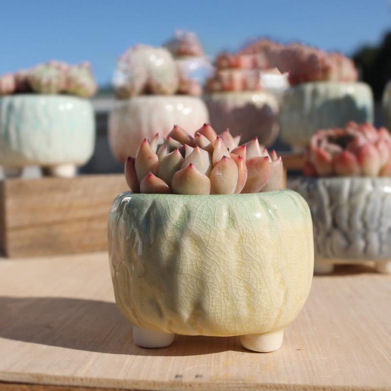 NEW Ceramic Flower Pot Creative Design Ice Cracked Glaze Succulent Pot Planter Small Flowerpot Home Hotel Ornament Decoration