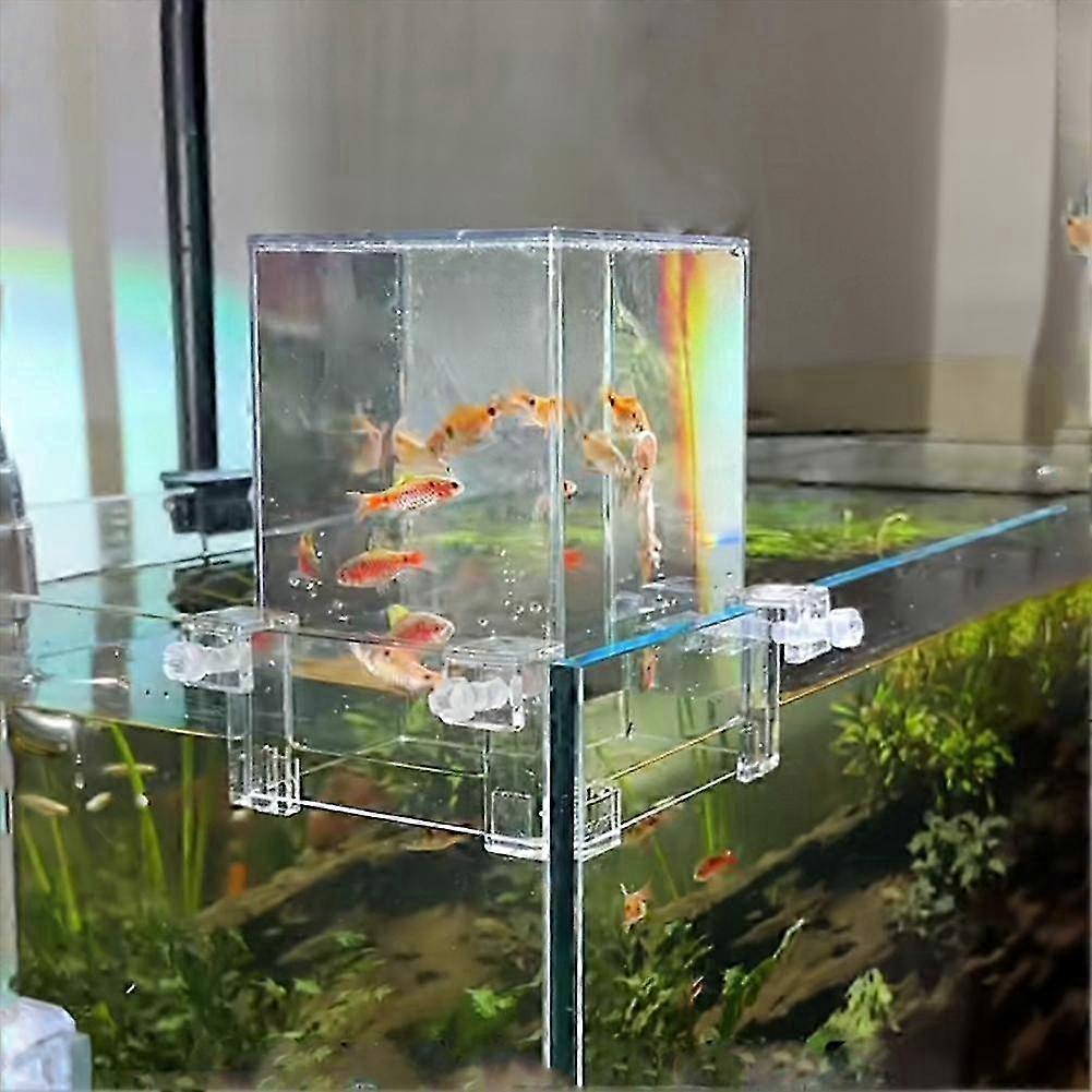Above Water Fish Tank, Fish Elevator Inverted Aquarium, Transparent Fish 25-26