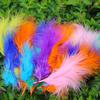 50Pcsdiy Color Feather Full Fleece Turkey Feather Clothing Antique Headdress Pet Toy Handicraft Decoration