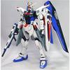 1/100 Freedom Gundam