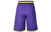 Basketballshorts Herren Lila AV3537-504