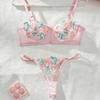 Embroidered Lace Thong & Mesh Lingerie Set