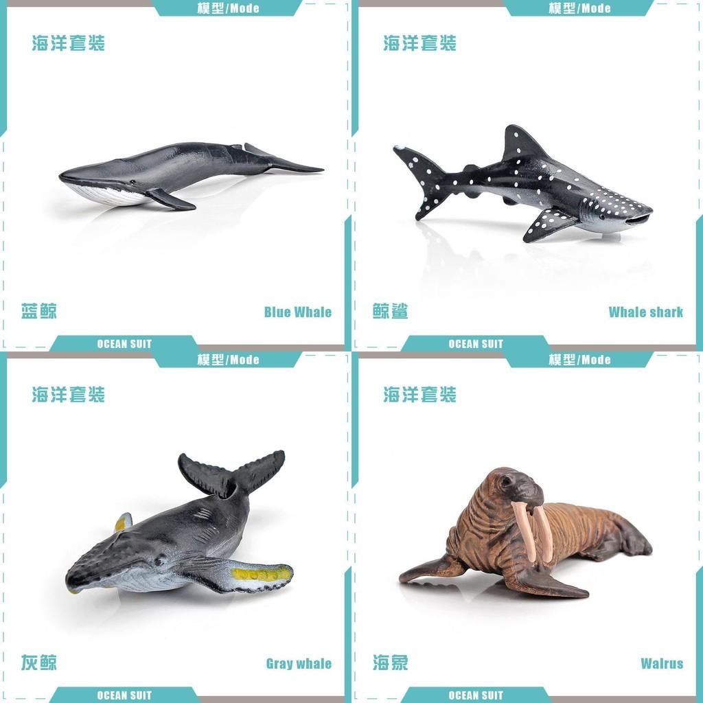 Realistic Ocean Animal Figurine Set Featuring Sharks Turtles Dolphins Penguins And Crabs For Kids And Collectors