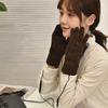USB Heated Full-Finger Plush Gloves