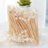 ZISIZ Gold Pearl Disposable Bamboo Fruit Picks