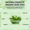 Pressed Jar 98% Aloe Vera Cream 50ml Mooth Delicate Radiant and Translucent Rapid Absorption of Skin Retinol Anti Aging Serum
