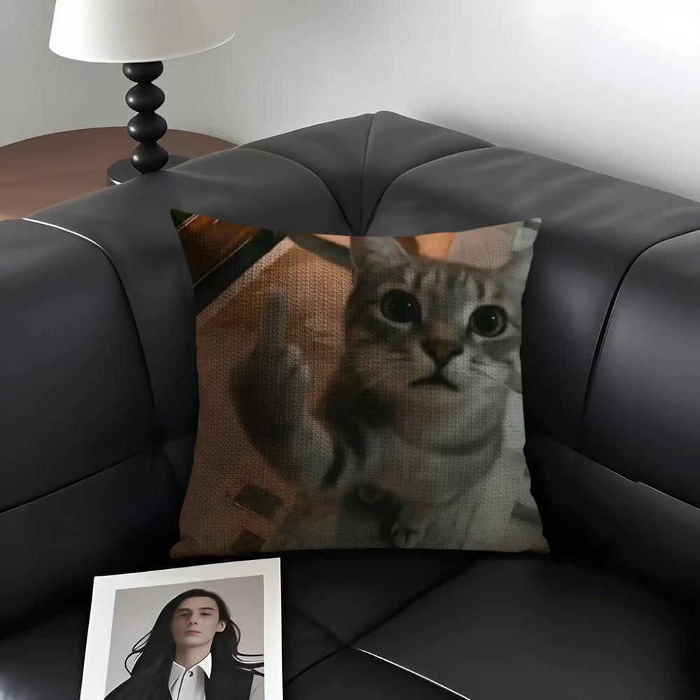 Meme Cat Funny Cushion Cover Natural Linen Organic Fabric DoubleSided Printing Sofa Home Decor Gift Pillow Case