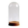 DIY Glass Dome Cloche Holder for Microlandscape and Home Display