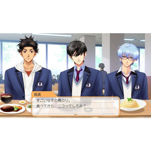 Tokimeki Memorial Girl's Side 4th Heart