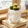 Beautiful Flower Holding Face Girl Flowerpot Green Plants Flower Pot Home Courtyard Garden Decoration Resin Handicrafts Ornament