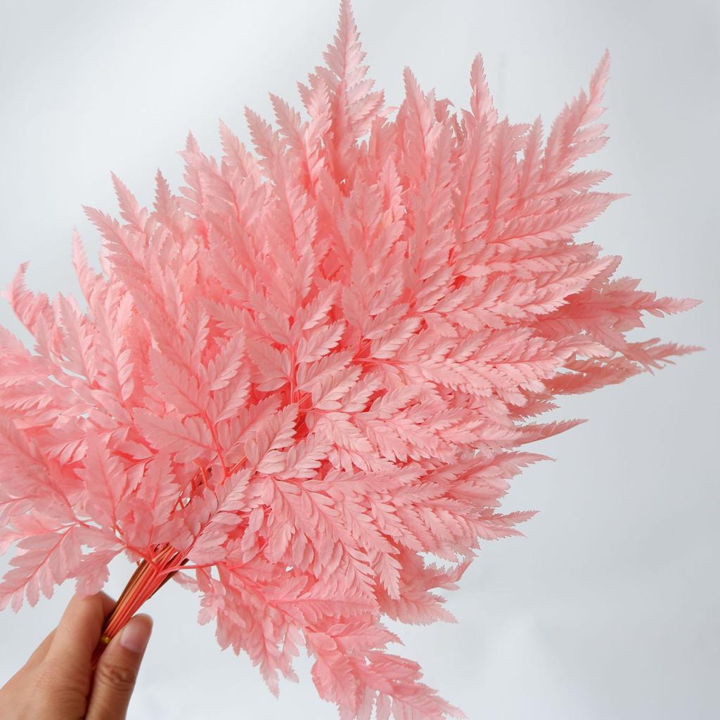 Eternal Alpine Fern Golden Alpine Fern Leaf Immortal Flower Dried Flower Bouquet Wedding Decoration With Grass