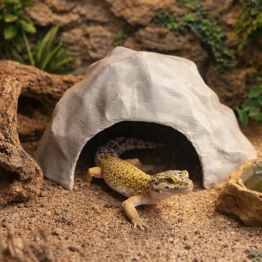 Stable Reptile Habitat Realistic Hidden Cave Shelter for Lizards Turtles
