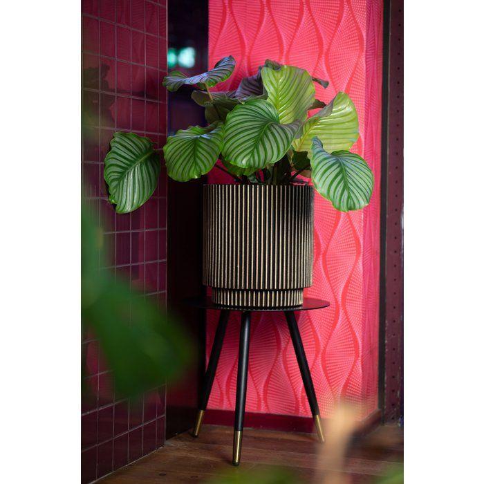 Vase cylindre - CAPI EUROPE - Groove NL - 36 x 38 cm - Noir/or