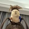 1Pcs Cute Funny Capybara Design Animal Headband For Girls Kids and Cosplay Party