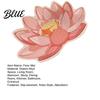 Fast-drying Sink Mat Absorbent Safety Earth Bathroom Floor Diatomaceous Lotus Leaf Rug Non-Slip Flower