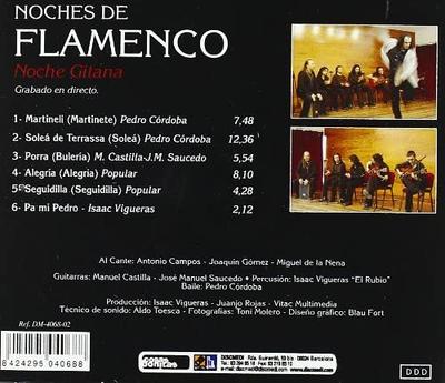 CD NOCHES DE FLAMENCO - Vol.8 Noche Gitana DM40682 DiscMedi Blau 2005 Others World Music Used
