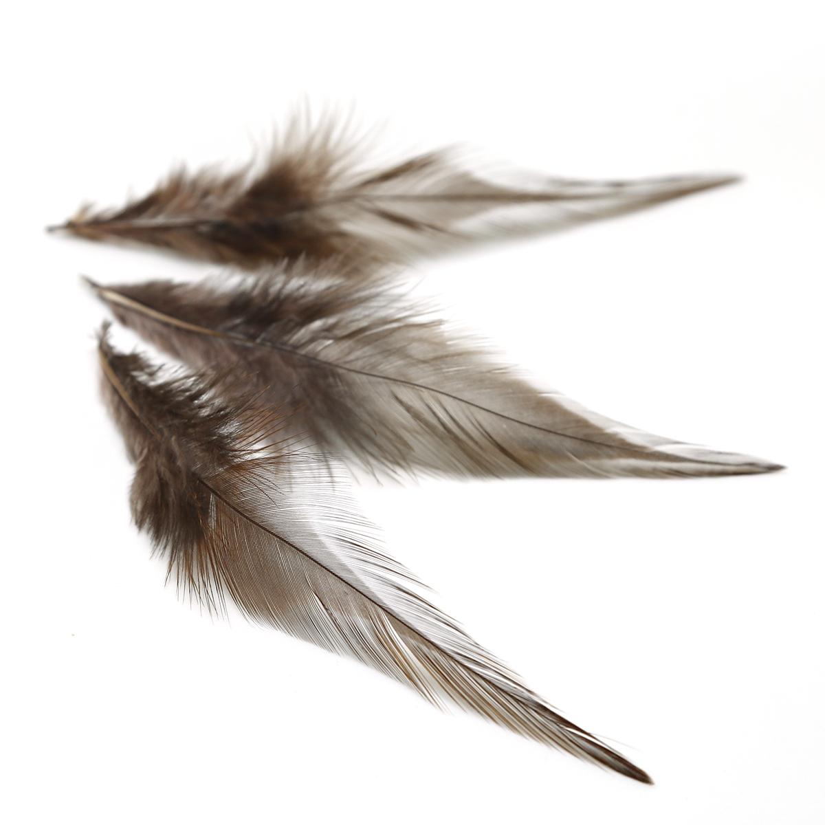 

100 шт./лот, высокое качество, перо фазана, 10-15 см, натуральный цвет и окрашенные перья для рукоделия, аксессуары для ювелирных изделий коричневый