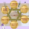 Of Solfeggio Tuner 432Hz Mallet and Love and Healing Frequency Healing Wellness Treatment Tuner with Quartz Point and Instructions for Use Tuning Fork