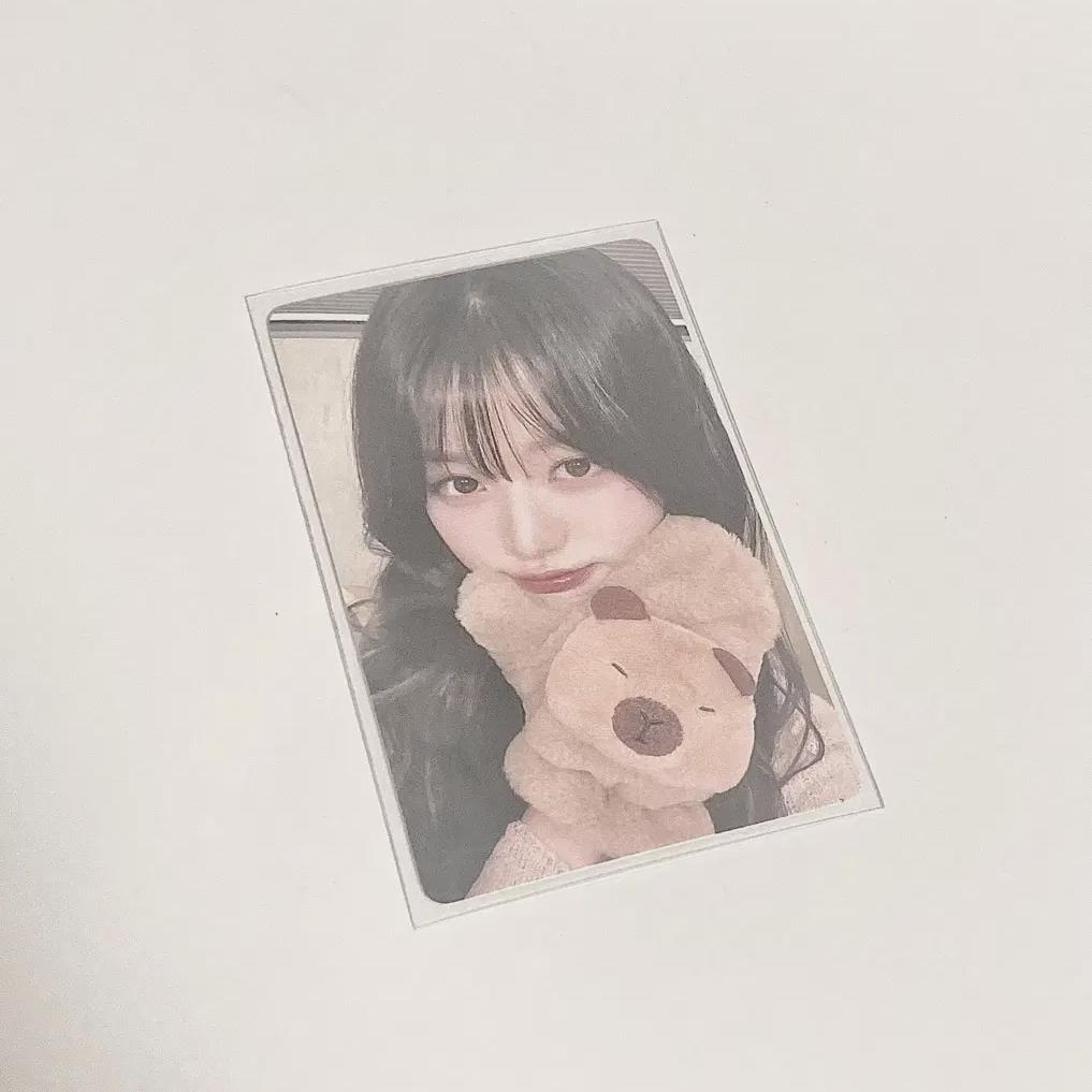 

Ive Switch Ezwie Capybara Wonyoung Photocard (bokdom