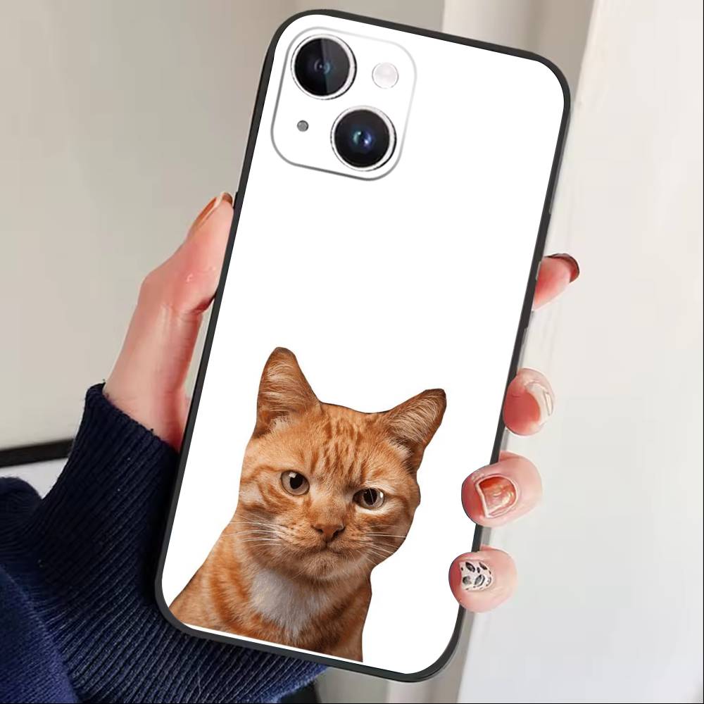 

Goofy Cool Cats Big eyes Phone Case For iPhone 17 16 15 14 13 12 Max Plus Silicone Black Cover iPhone12PRO